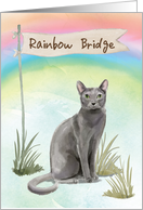 Blue Russian Cat Pet Sympathy Over Rainbow Bridge card