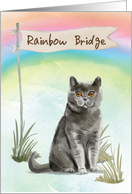 British Short Hair Cat Pet Sympathy Over Rainbow Bridge card