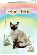 Siamese Cat Pet Sympathy Over Rainbow Bridge card