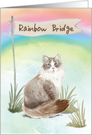 Siberian Cat Pet Sympathy Over Rainbow Bridge card