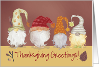 Funny Gnome Thanksgiving Greetings card