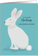 Granddaughter Easter Greetings White Rabbit on Light Teal card