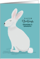 Custom Relation Easter Greetings White Rabbit on Light Teal card