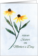 Sister on Mothers Day Two Cone Flowers card