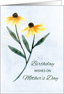 Birthday on Mothers Day Two Cone Flowers card