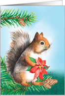 Christmas Squirrel Holding Poinsettia Flower card