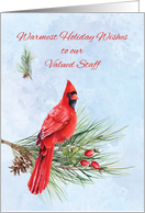 Staff Appreciation Business Christmas Red Cardinal on Pine Bough card
