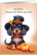 Grandson Halloween Cute Black Dog Wearing Hat with Pumpkins card