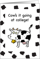 Away at College Thinking of You Funny Cow card
