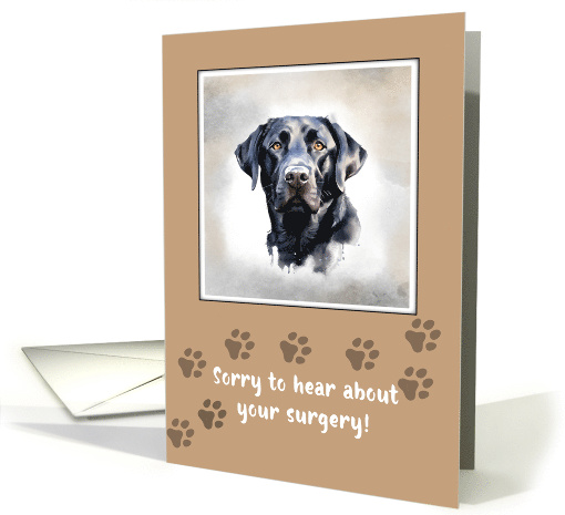 Get Well to Dog After Surgery With Black Lab card (1821268)