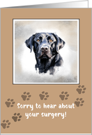 Get Well to Dog After Surgery With Black Lab card