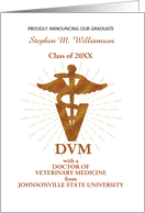 Doctor of Veterinary Medicine Graduation Announcement Symbol card