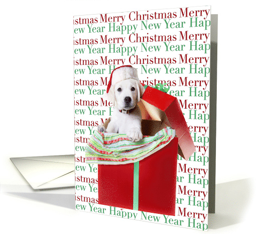 Christmas Puppy Popping Up Out of a Gift Box card (1590478)