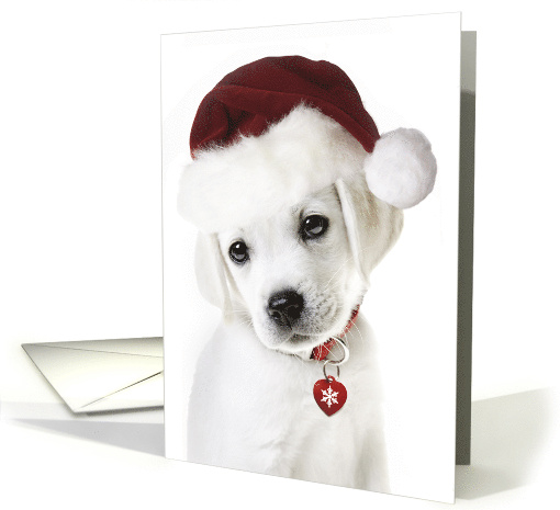 Missing You at Christmas Lab Puppy with Santa hat card (1669352)