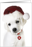 Missing You at Christmas Lab Puppy with Santa hat card