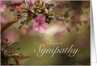 With Deepest Sympathy Cherry Blossoms card
