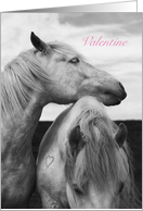 Valentine’s Day Horse Couple with Heart Marking card