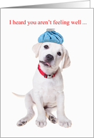 Get Well Soon Cute Labrador Puppy with Ice Bag card