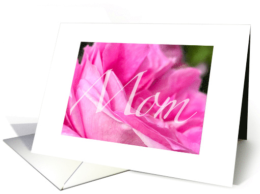 for Mom Mothers Day Pink Rose and Beautiful Script card (1597152)