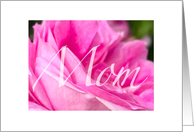 for Mom Mothers Day Pink Rose and Beautiful Script card