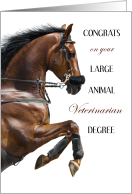 Congrats on Your Large Animal Veterinarian Degree with Jumping Horse card