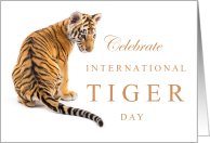 Celebrate International Tiger Day July 29 with Cute Cub card