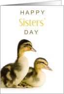 Happy Sisters’ Day with Two Cute Ducklings 1st Sun in Aug card