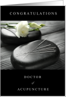 Graduation Congrats Doctor of Acupuncture with Stones Needles Flower card