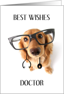 Best Wishes Doc on Your Retirement with Dachshund Wearing Stethoscope card