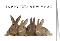 Happy 1st New Year with 4 Cute Bunny Rabbits on White card