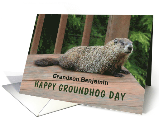 Happy Groundhog Day with Woodchuck on Deck Any Name Relation card