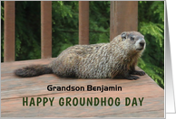 Happy Groundhog Day with Woodchuck on Deck Any Name Relation card