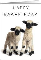 Happy Baaarthday Twin Great Grandsons with 2 Lambs card