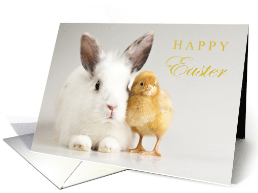 Happy Easter Great Great Grandson with Cute Bunny and Chick card