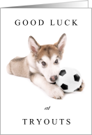 Good Luck at Soccer Tryouts iwth Cute Malamute Puppy Dog card