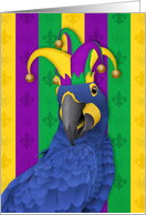 Colorful Jester Macaw Mardi Gras Masquerade Party Invitation card