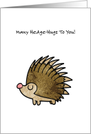New Pet Hedgehog Congratulations card