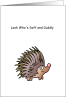 New Pet Hedgehog Congratulations card