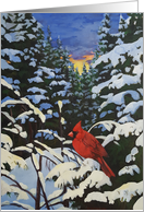Winter Landscape with a Cardinal in the Snow at sunset card