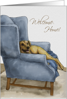 Welcome Home from the Dog Golden Sitting on Blue Upright Chair card