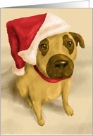 Christmas Pet Brown and Tan Puppy Wears a Santa Hat card