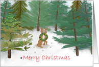 Dog in Evergreen Woods With Christmas Wreath card