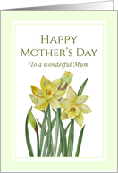 For Mum on Mother’s Day Watercolor Yellow Daffodils Illustration card