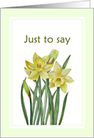 General Just to Say Watercolor Yellow Daffodils card