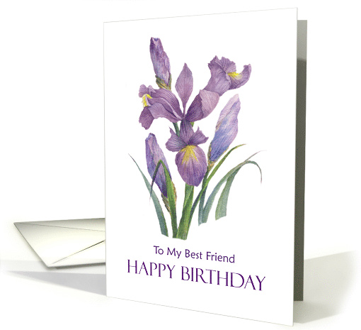 For Best Friend on Birthday Purple Irises Floral Illustration card