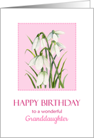 For Granddaughter on Birthday Watercolor Snowdrops Bloom Painting card