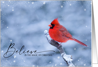 Beautiful Northern Cardinal in Snow Believe in the Magic of Christmas card