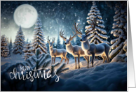Christmas Holiday Magicel Reindeer in Winter Wonderland with Full Moon card