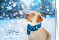 Christmas Holiday Yellow Lab Labrador Dog with Scarf in Snow Pet card