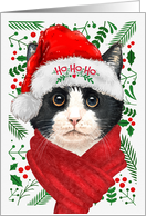 Tuxedo Cat Ho Ho Ho Santa Hat Meowy Christmas Kitty card